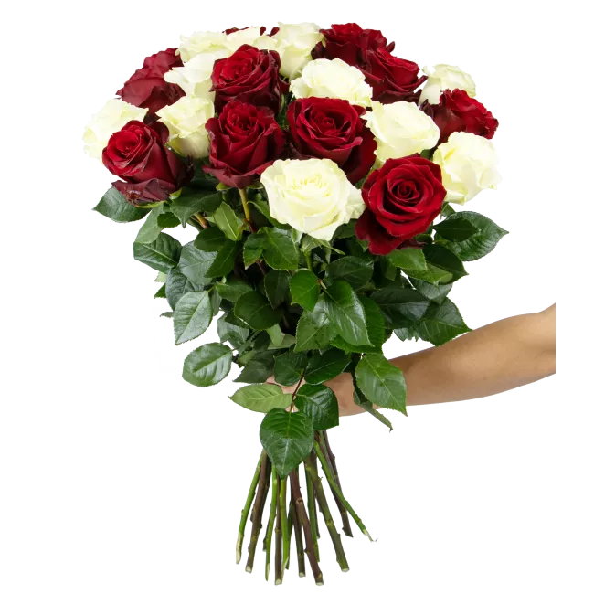 Kytice ekvádorských růží 80 cm